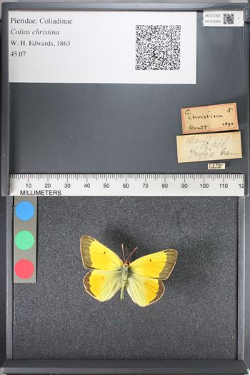 Media type: image;   Entomology 123989